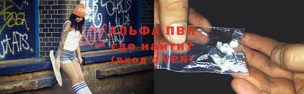 шишки Бородино