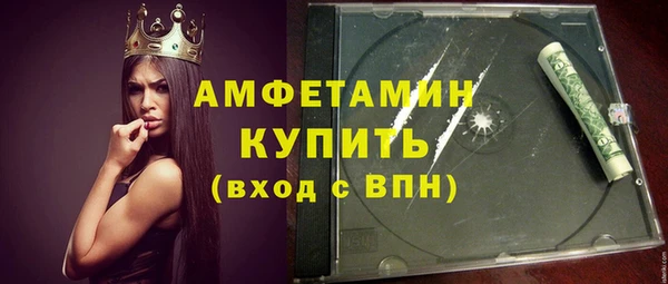 гидра Богородицк