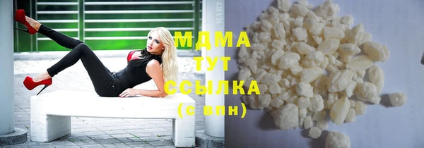 шишки Бородино