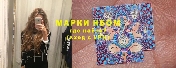 шишки Бородино
