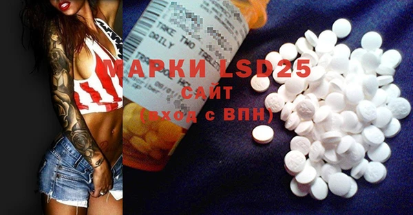 шишки Бородино