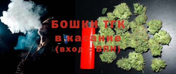 шишки Бородино