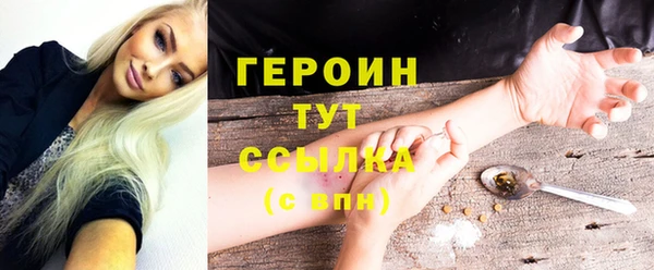 гидра Богородицк
