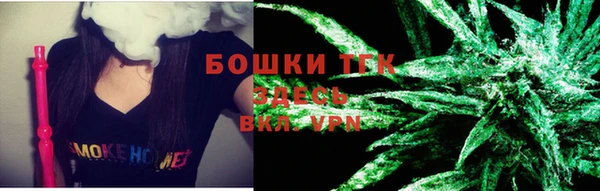 шишки Бородино
