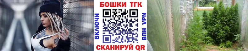 Канабис SATIVA & INDICA  Купить закладки  Кыштым 